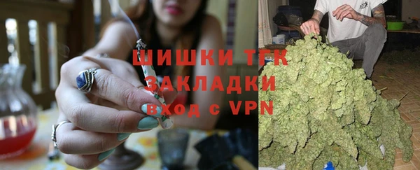 гашиш Богданович