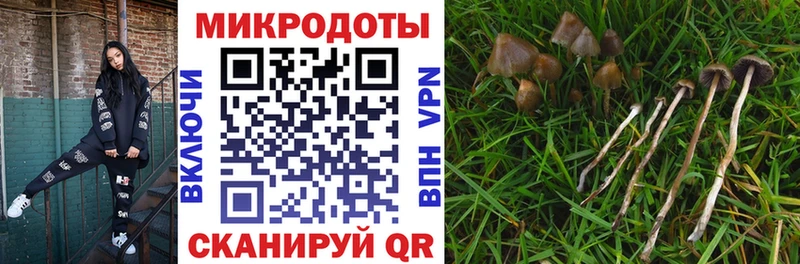 Галлюциногенные грибы ЛСД Спас-Деменск